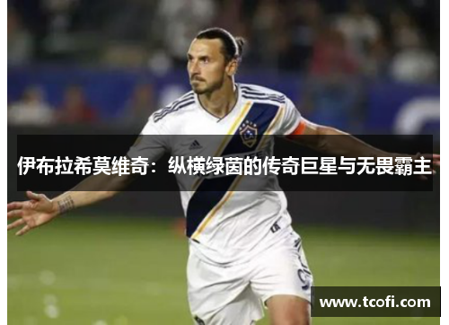 伊布拉希莫维奇：纵横绿茵的传奇巨星与无畏霸主