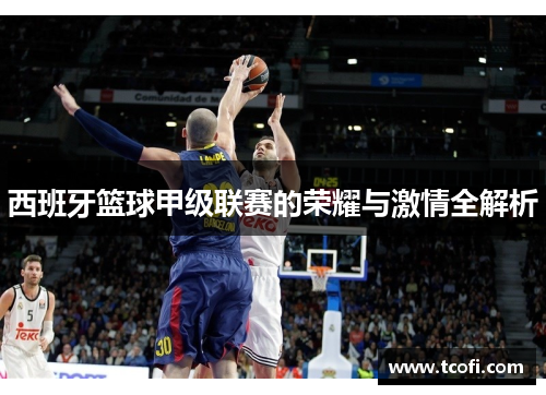 西班牙篮球甲级联赛的荣耀与激情全解析