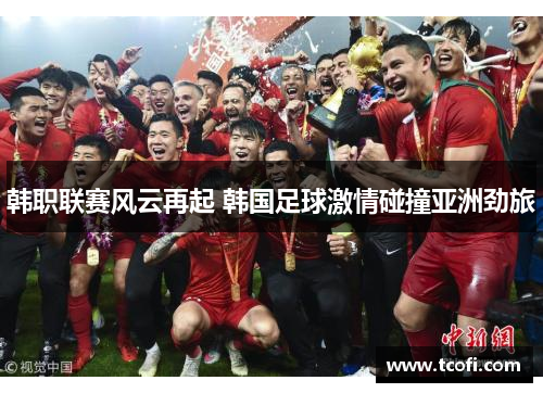 韩职联赛风云再起 韩国足球激情碰撞亚洲劲旅