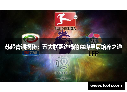 苏超青训揭秘：五大联赛边缘的璀璨星辰培养之道