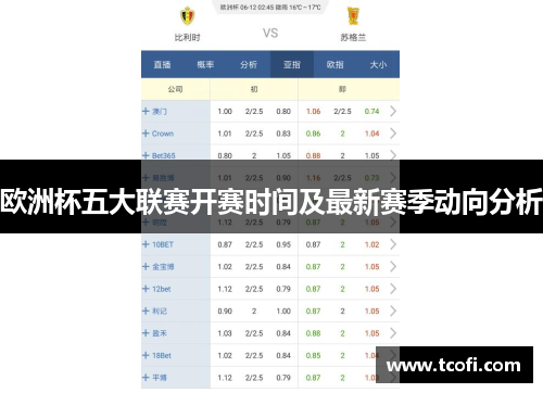 欧洲杯五大联赛开赛时间及最新赛季动向分析